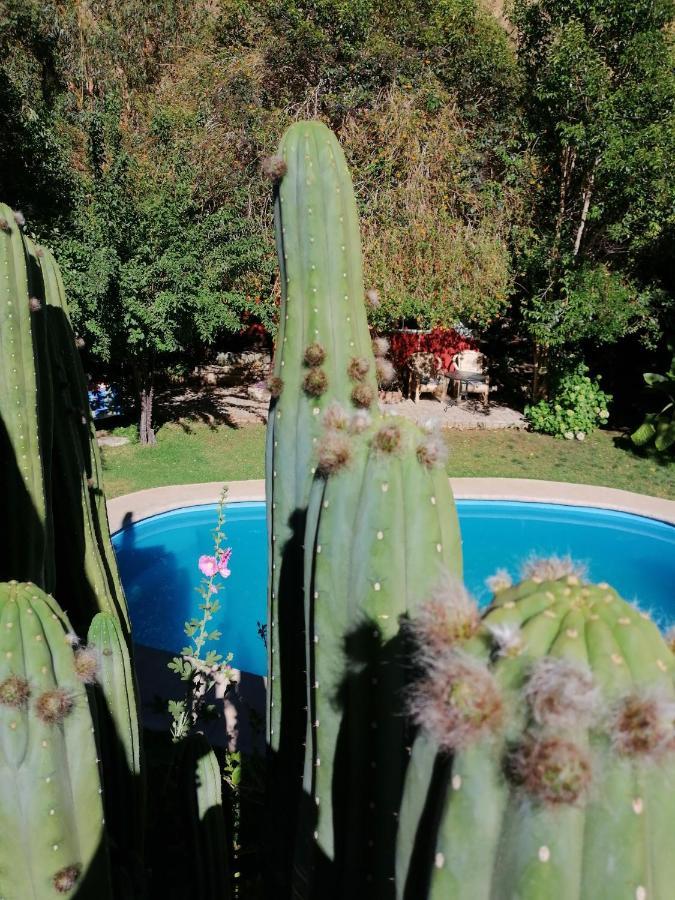 El Jardin Secreto-Pisco Elqui Aparthotel Exterior photo